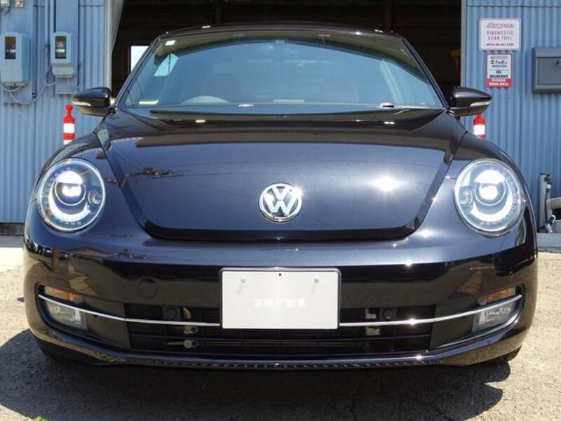 THE BEETLE