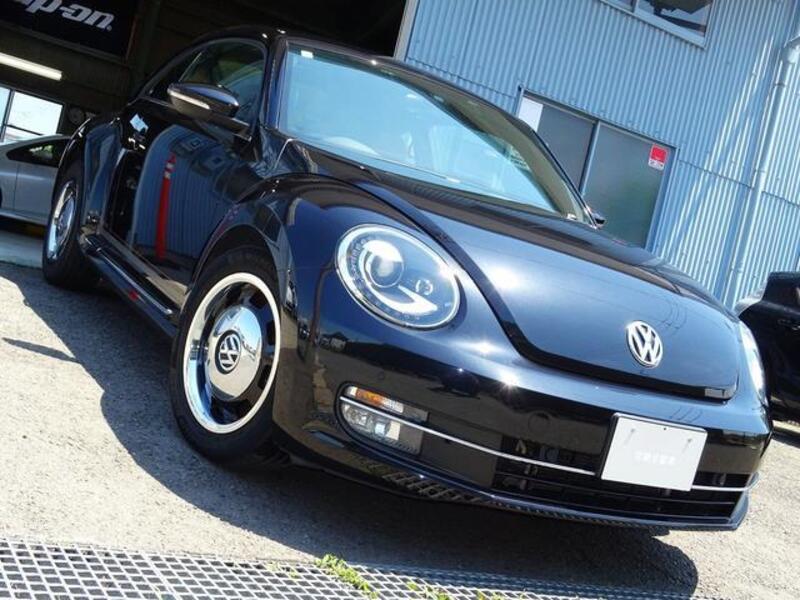 THE BEETLE