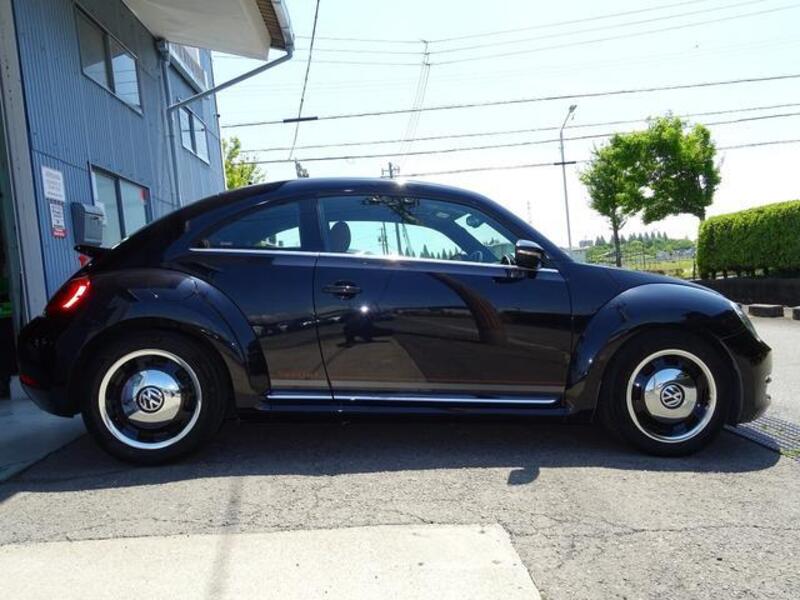 THE BEETLE