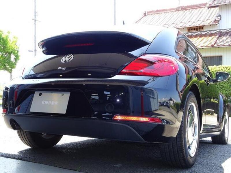 THE BEETLE