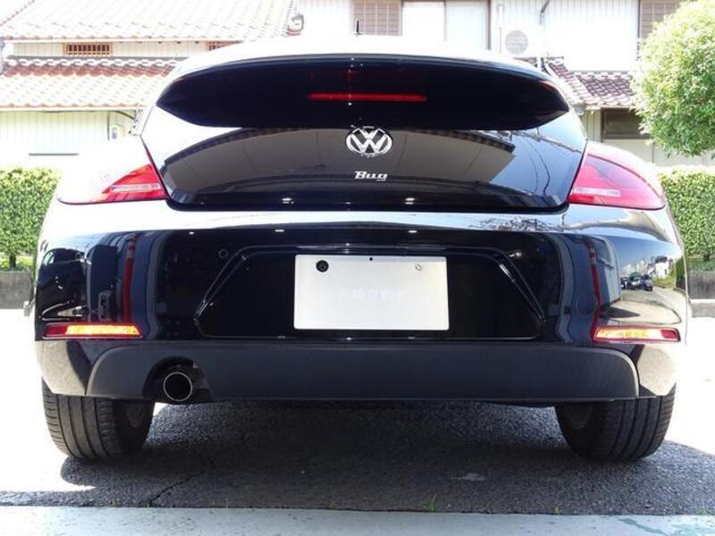 THE BEETLE
