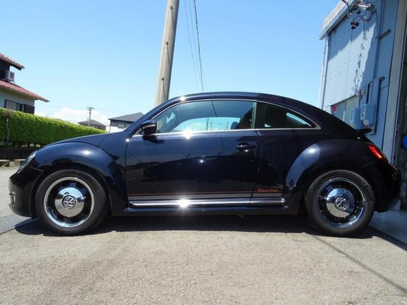 THE BEETLE