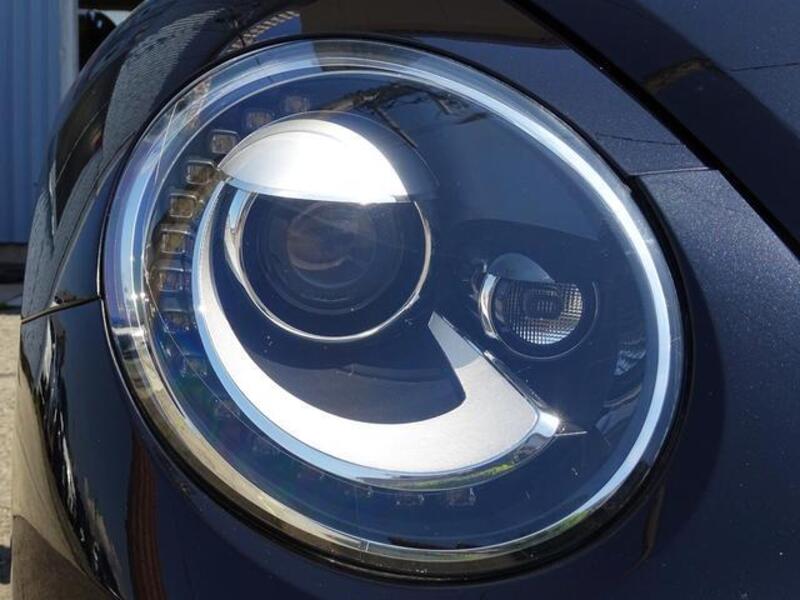 THE BEETLE