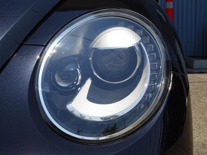 THE BEETLE