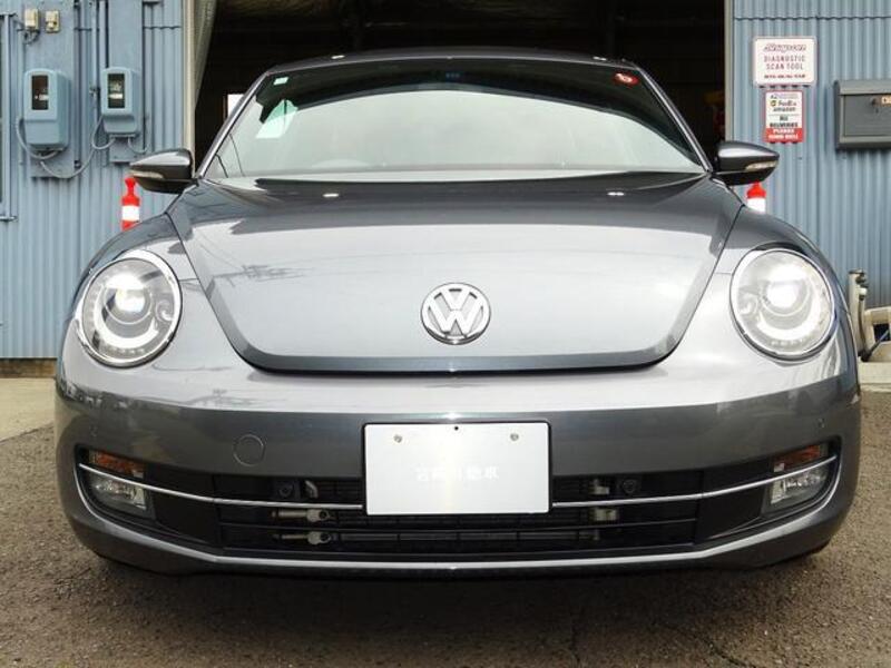 THE BEETLE