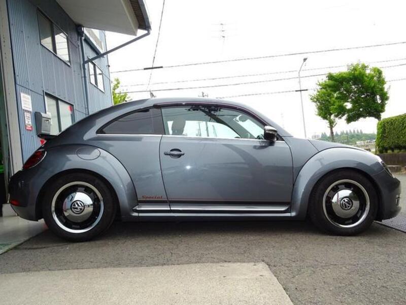 THE BEETLE