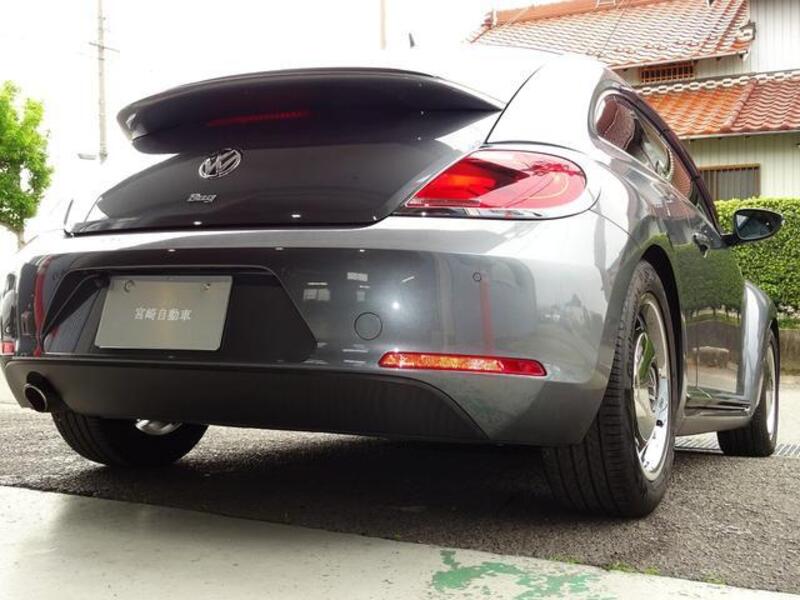 THE BEETLE
