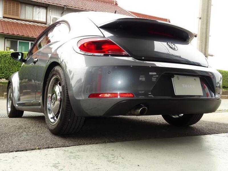 THE BEETLE