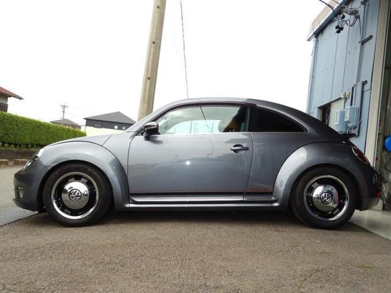 THE BEETLE
