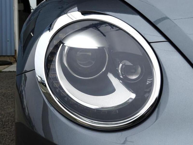 THE BEETLE
