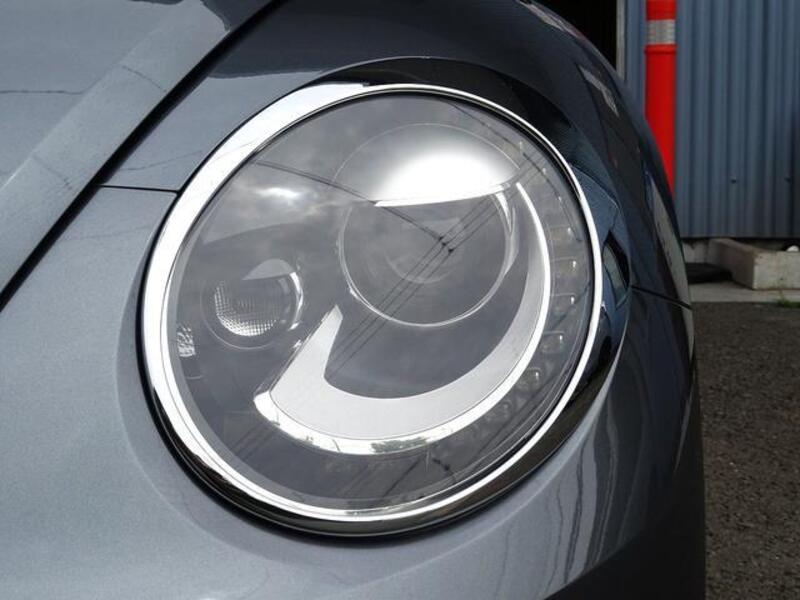 THE BEETLE