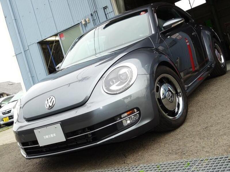 VOLKSWAGEN THE BEETLE
