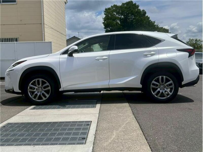 NX