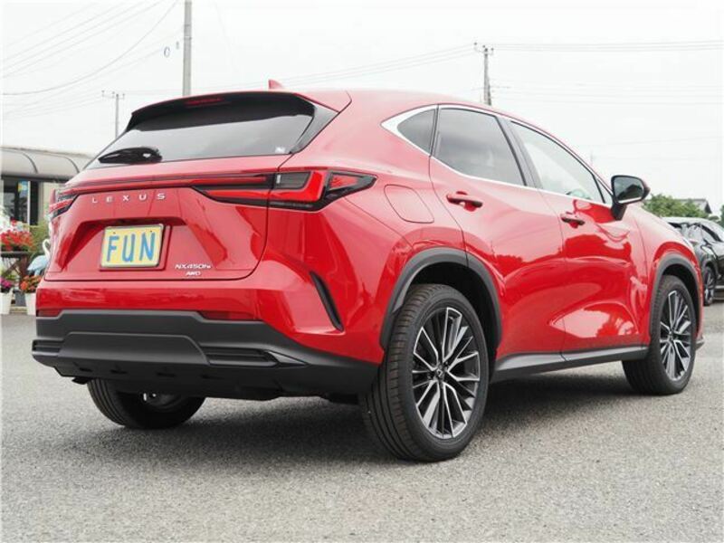 NX