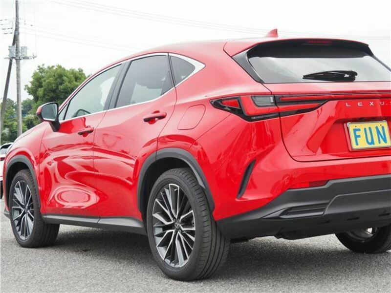 NX