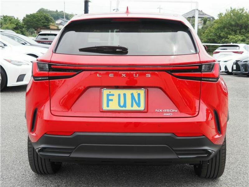 NX