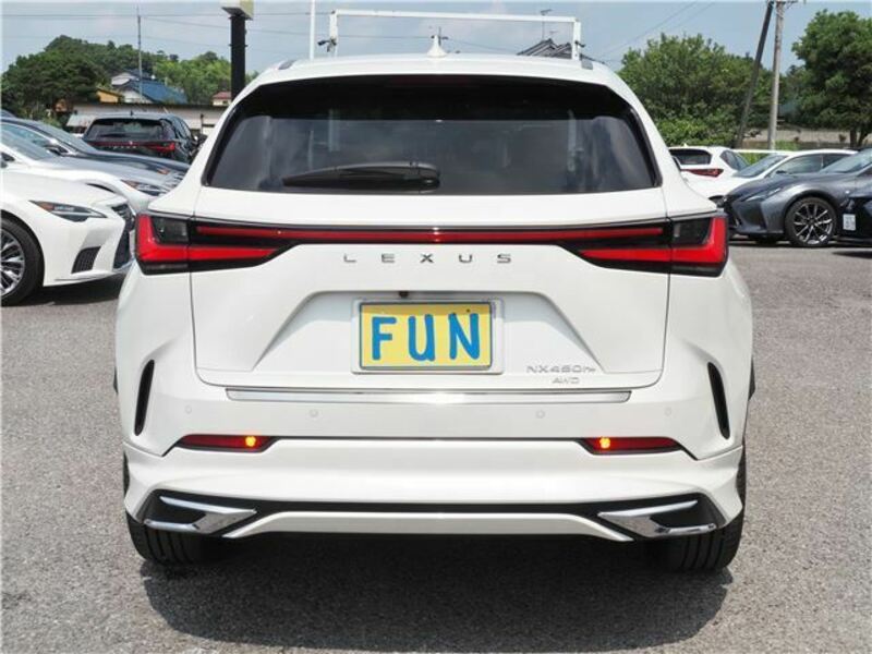 NX