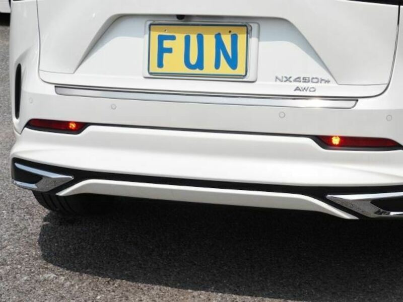 NX