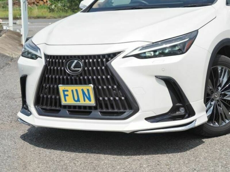 NX