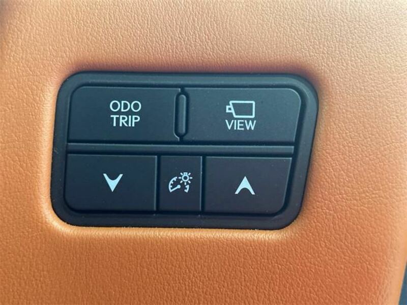 LX