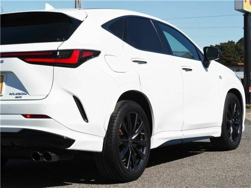 NX