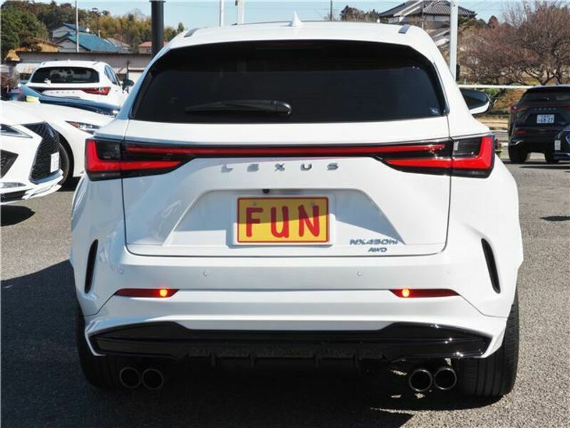 NX