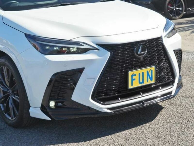 NX
