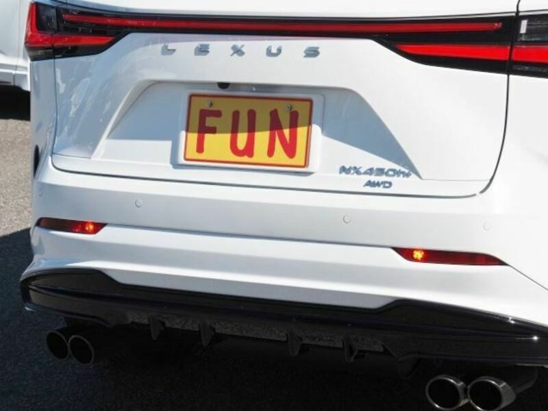 NX