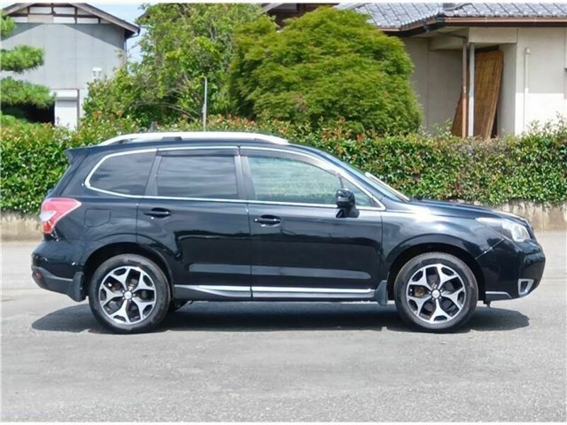 FORESTER