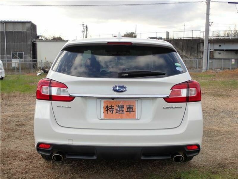 LEVORG