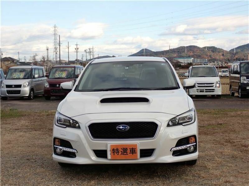 LEVORG