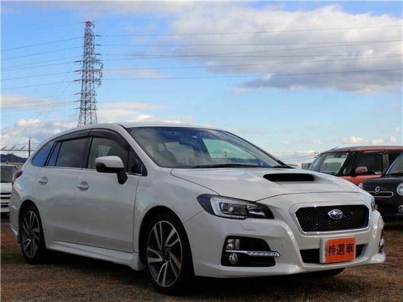 LEVORG