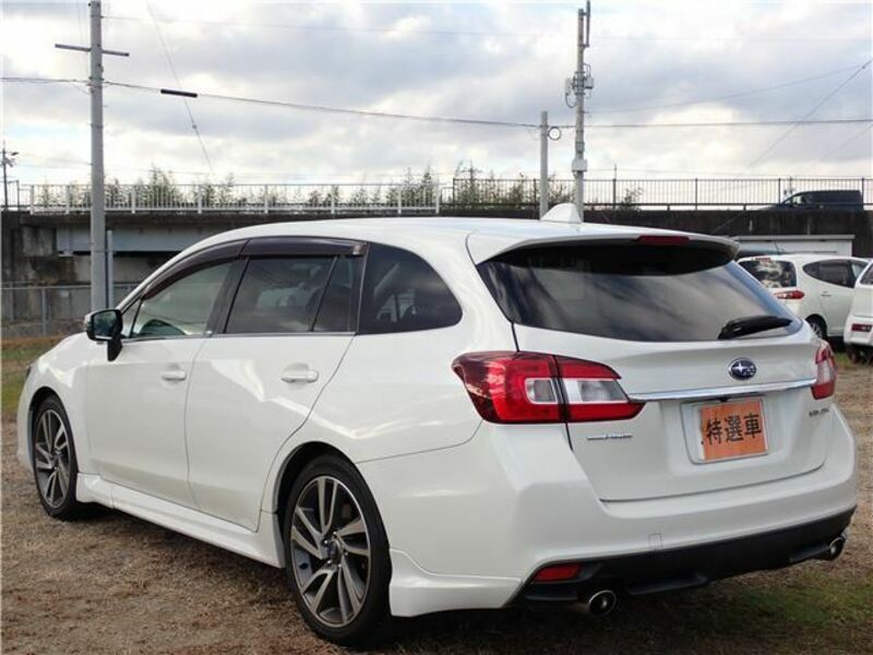 LEVORG
