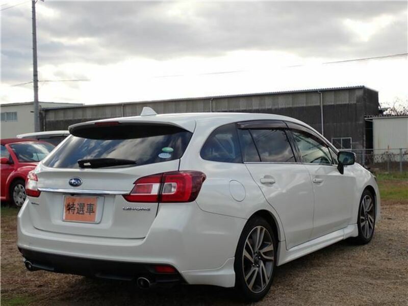 LEVORG