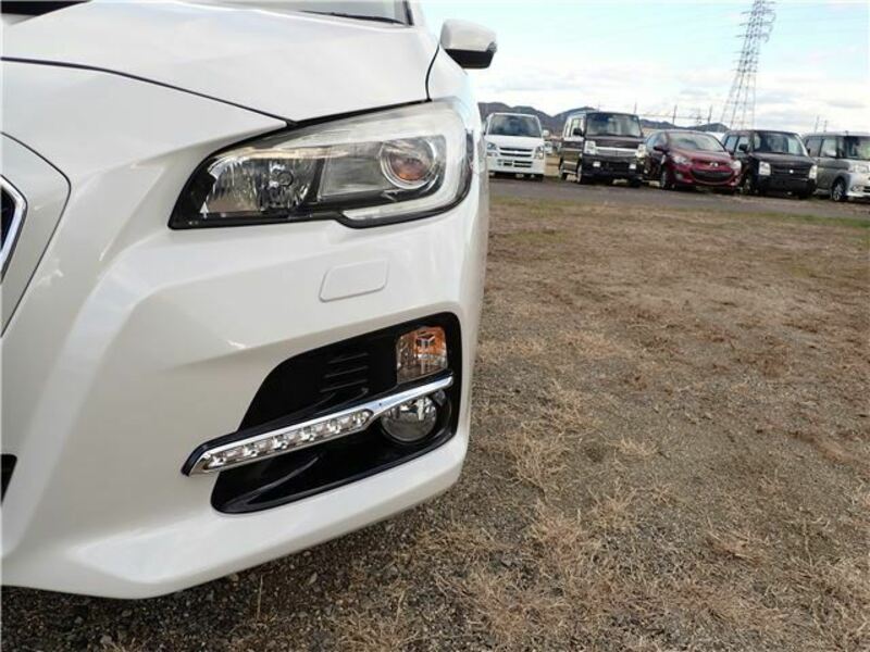 LEVORG