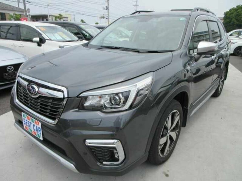 FORESTER