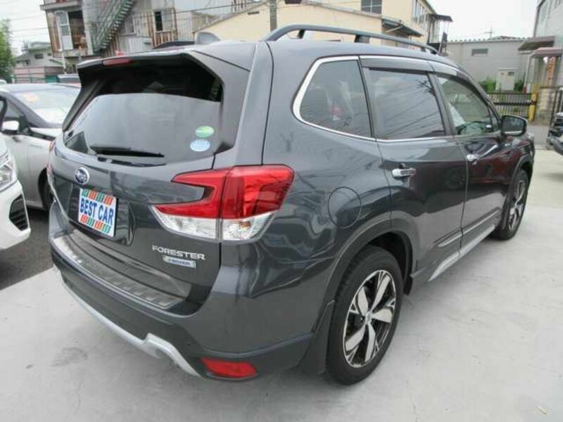 FORESTER