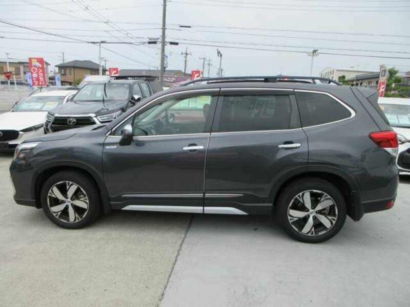 FORESTER