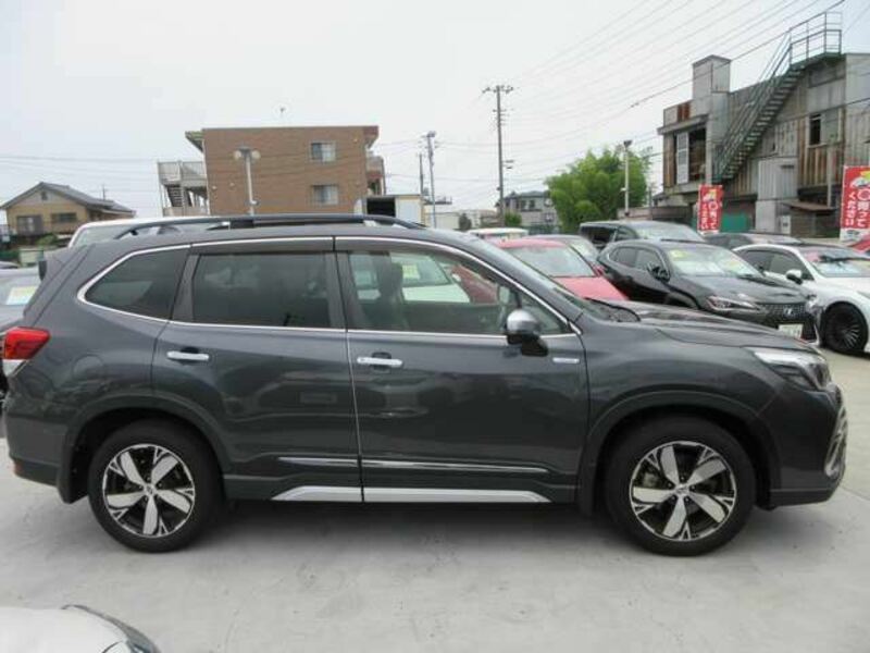FORESTER