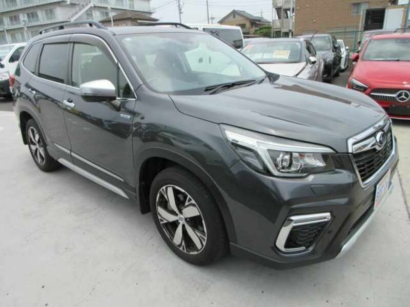 FORESTER