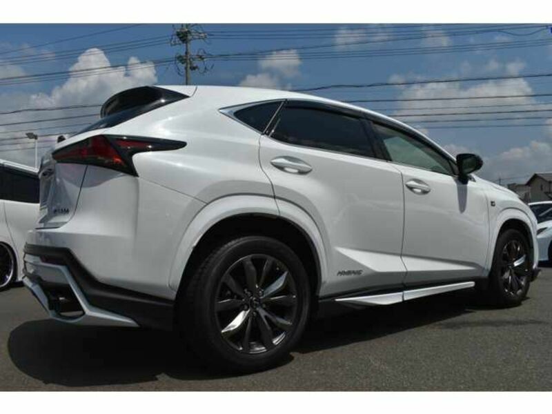 NX