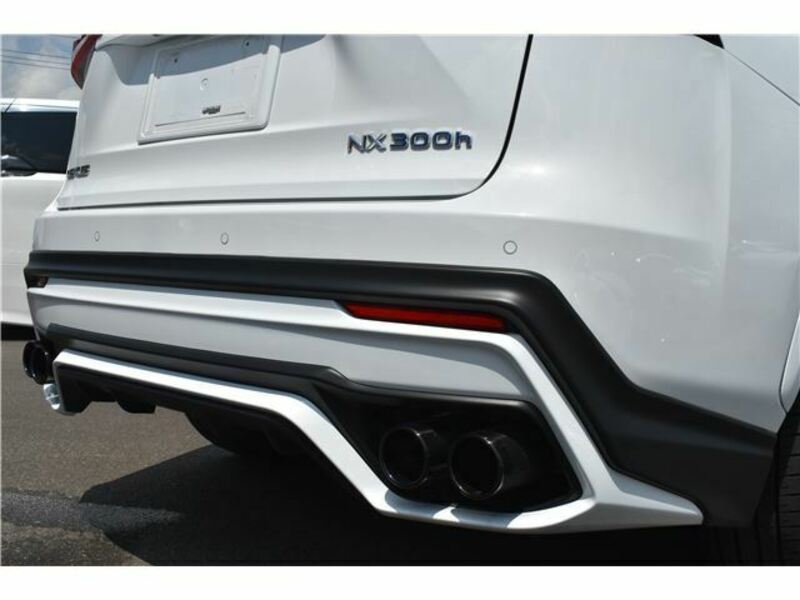 NX