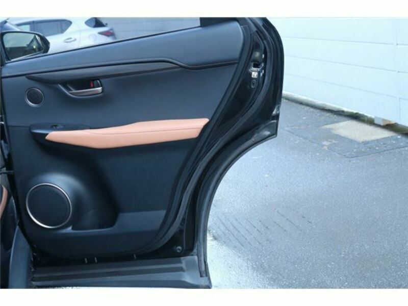 NX