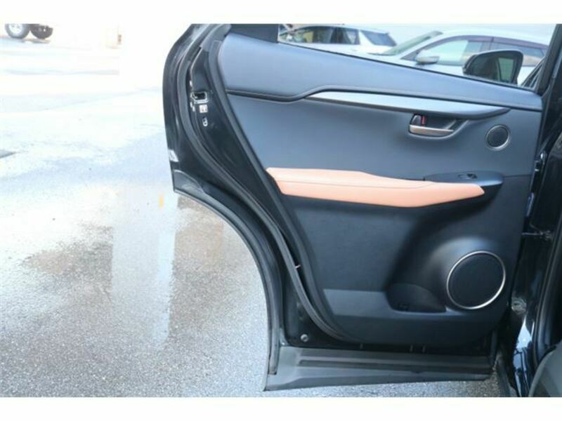 NX