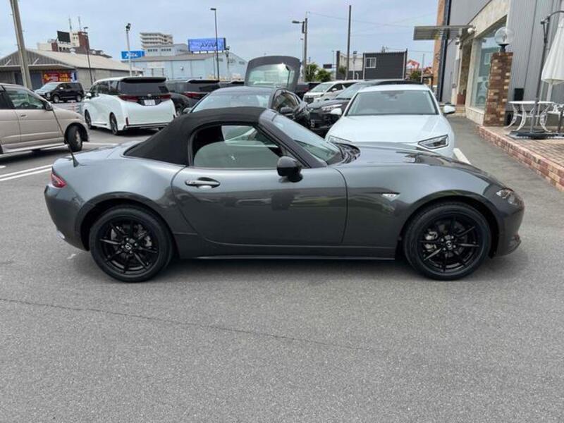ROADSTER