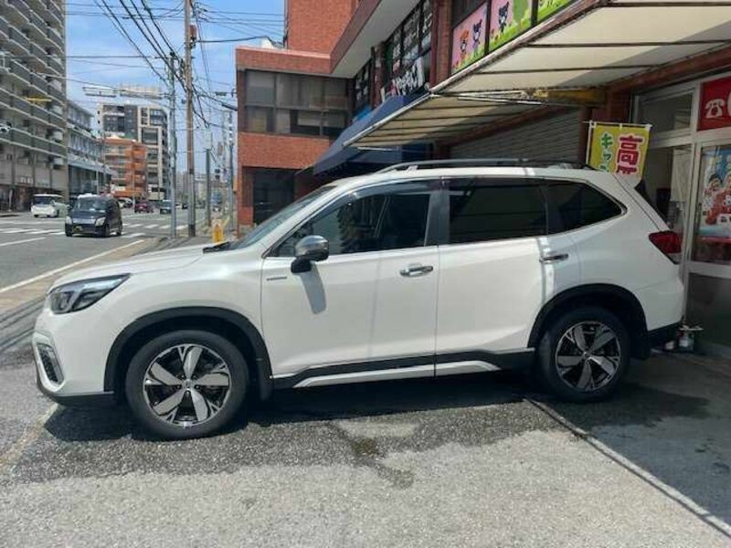FORESTER