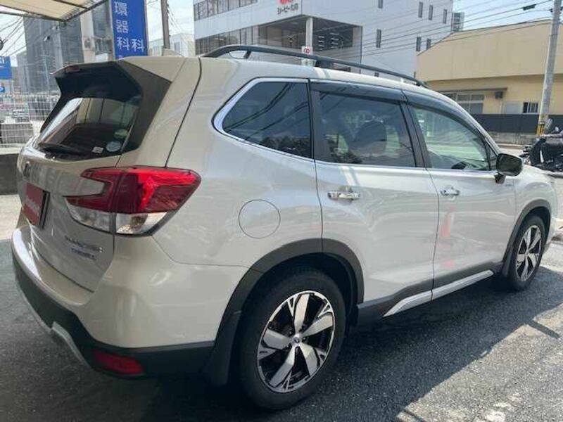 FORESTER