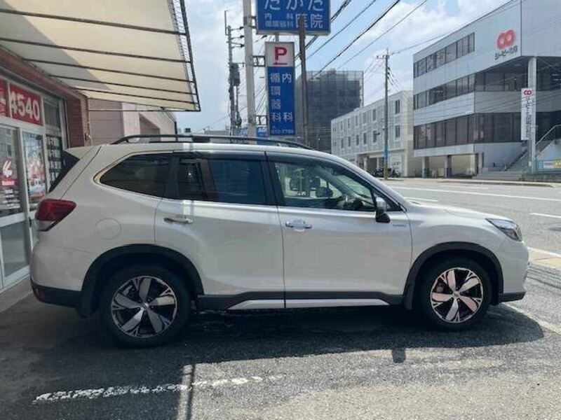 FORESTER