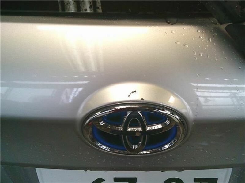 COROLLA FIELDER