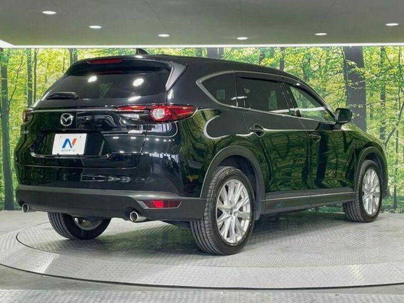 CX-8